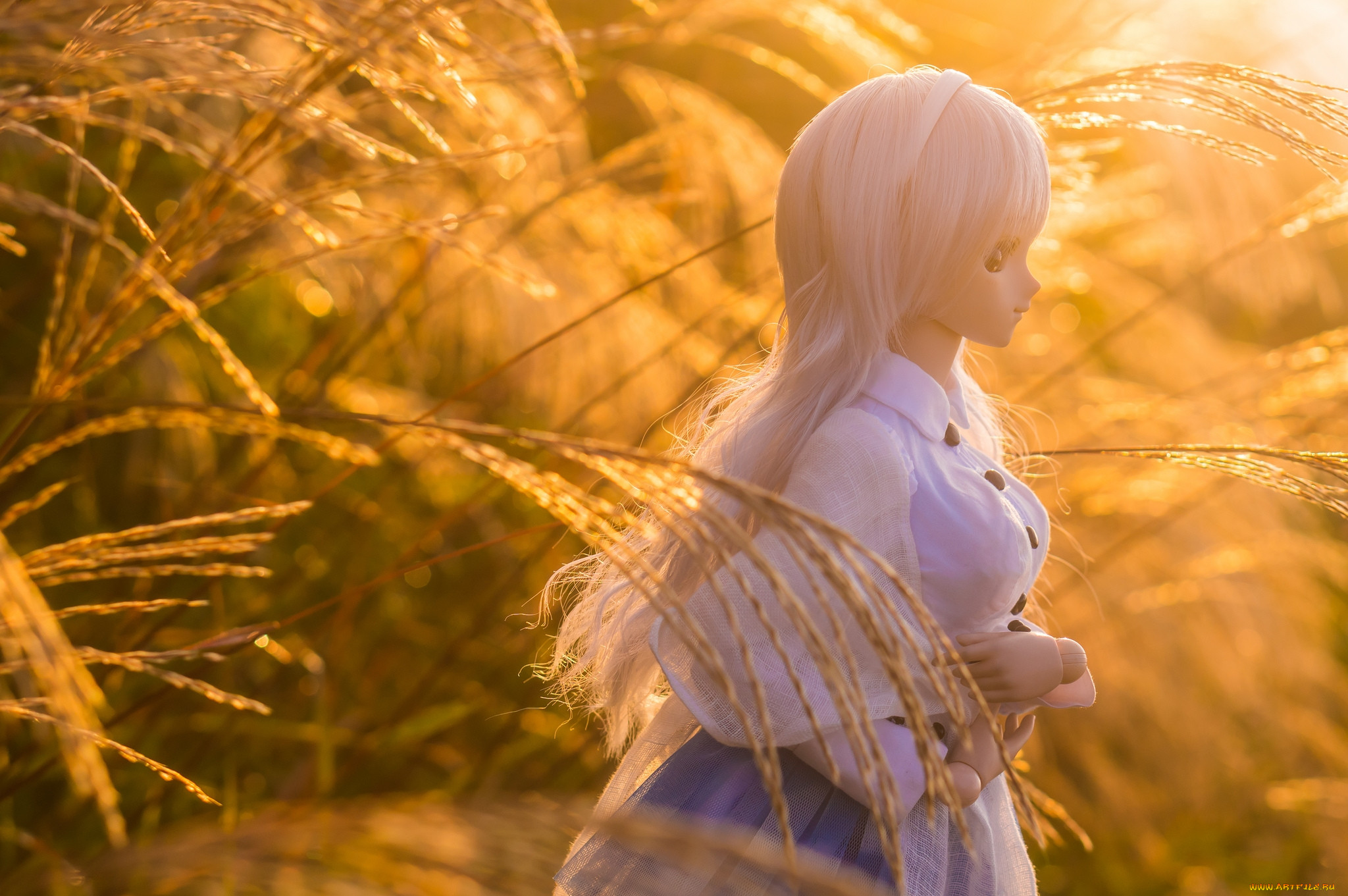 ������, �������, �����